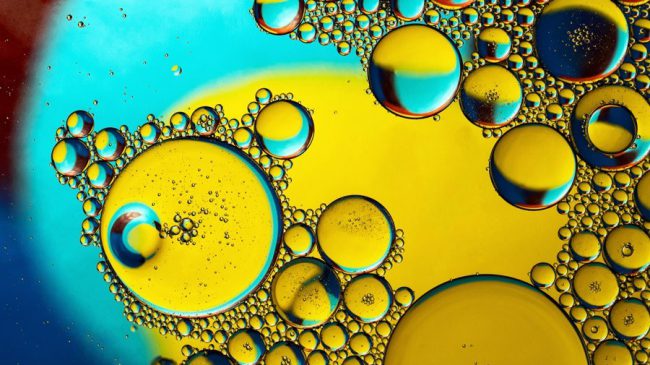 david-clode-FLAHpMC1Yp4-unsplash