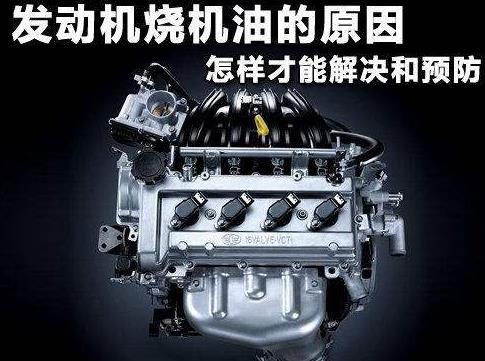 微信图片_20200828170621