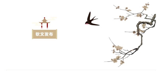 软文发布