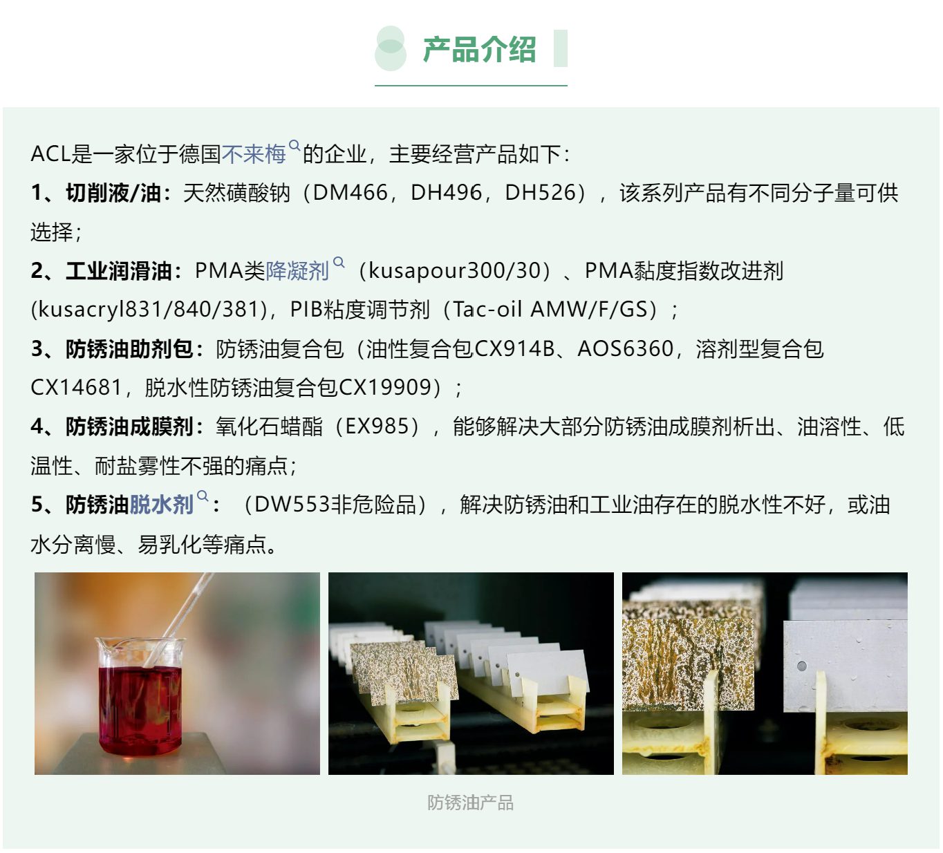 屏幕截图 2024-09-02 094717