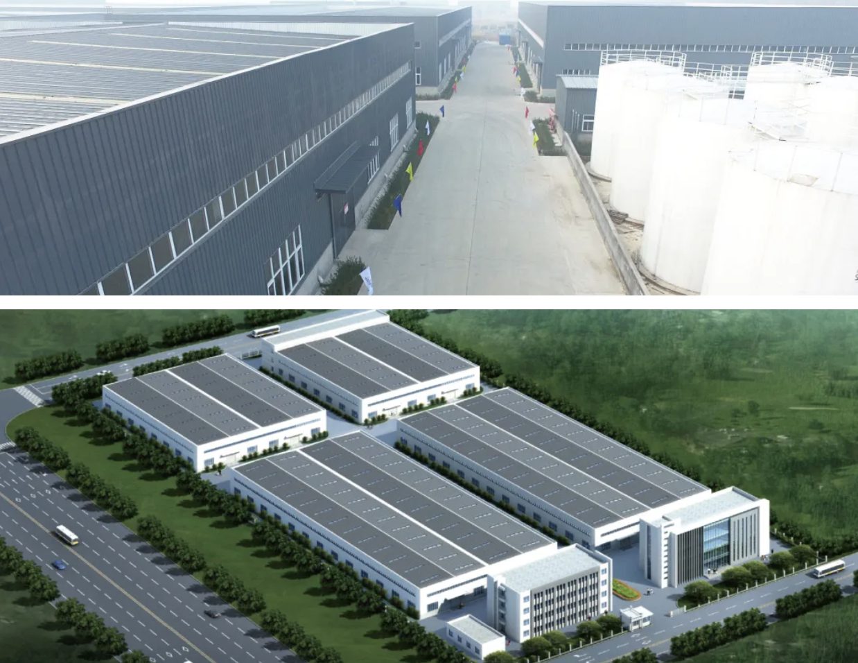 螢幕截圖 2025-01-14 09.17.23