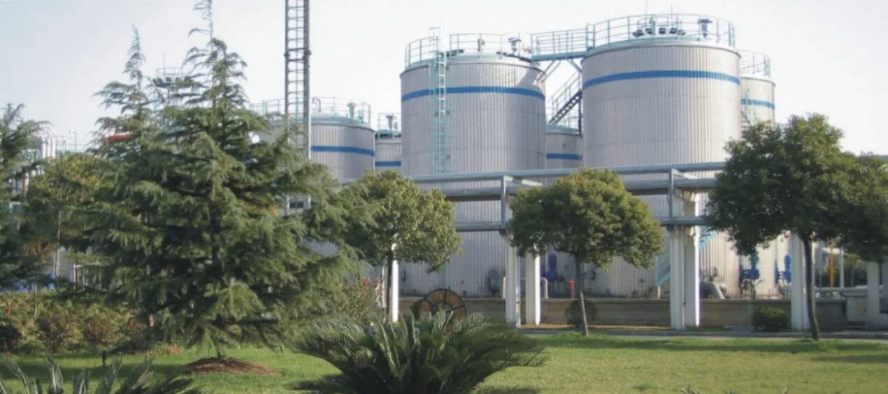 螢幕截圖 2025-05-29 18.13.32